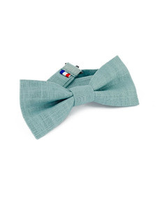 Noeud papillon bleu